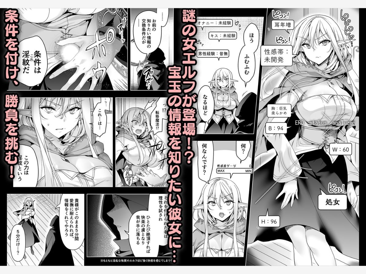 エルフに淫紋を付ける本 LEVEL:6