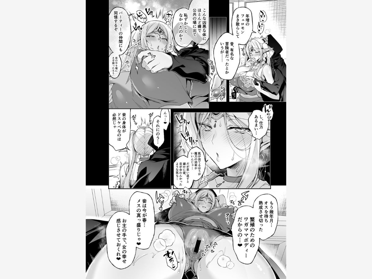 エルフに淫紋を付ける本 LEVEL:8