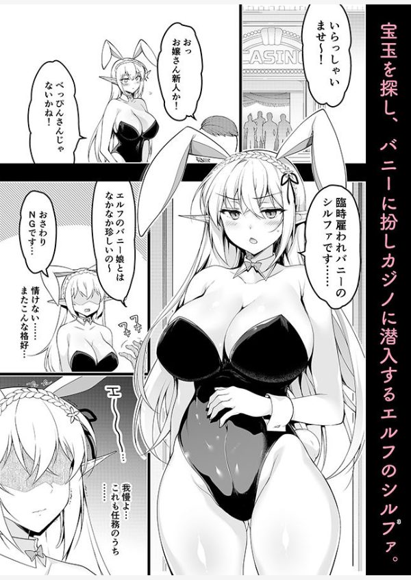 エルフに淫紋を付ける本Level:5